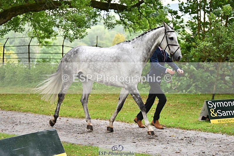 240522-161050-00760 - 157-AIR_MAIL-Daisy_Amin