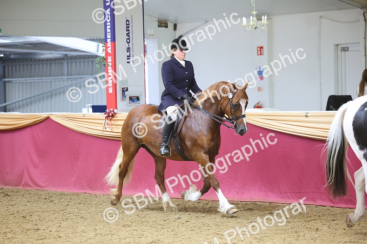 SBM_24912 - Supreme Final - Ridden Champion