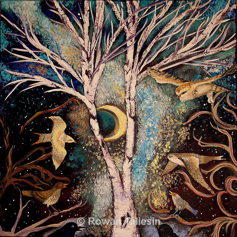 Singing up the Stars copyright Rowan Taliesin 2015 - PROJECT - Trees, Tales and Trails