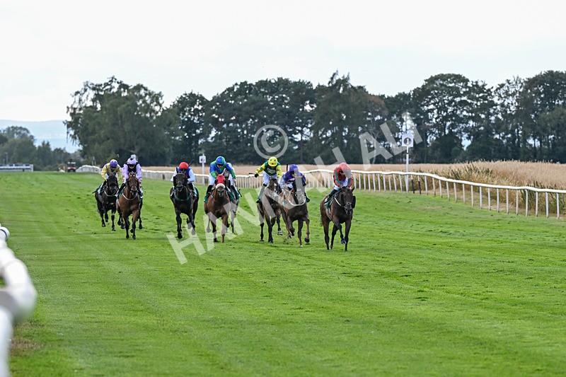 010826-Race 7-Maldevious-3440 - Race 7 16.55pm John Joseph Robson Memorial Handicap