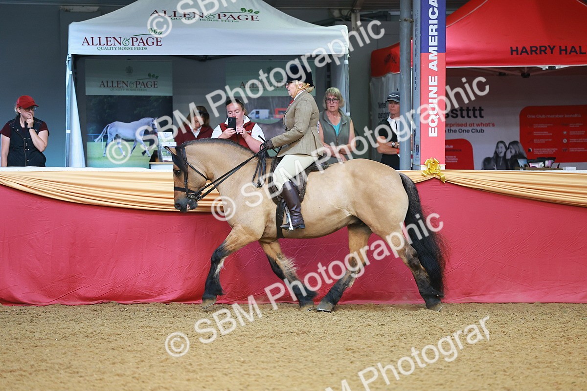 SBM_09479 - Class 102 - HOYS Veteran Qualifier - Ridden Veteran