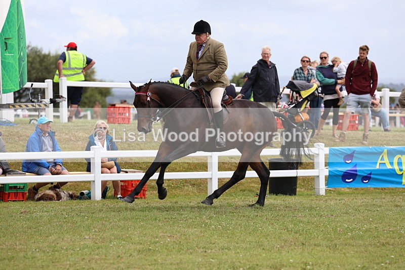 3E7A0976 - Class 8: Open Riding Horse/Hack