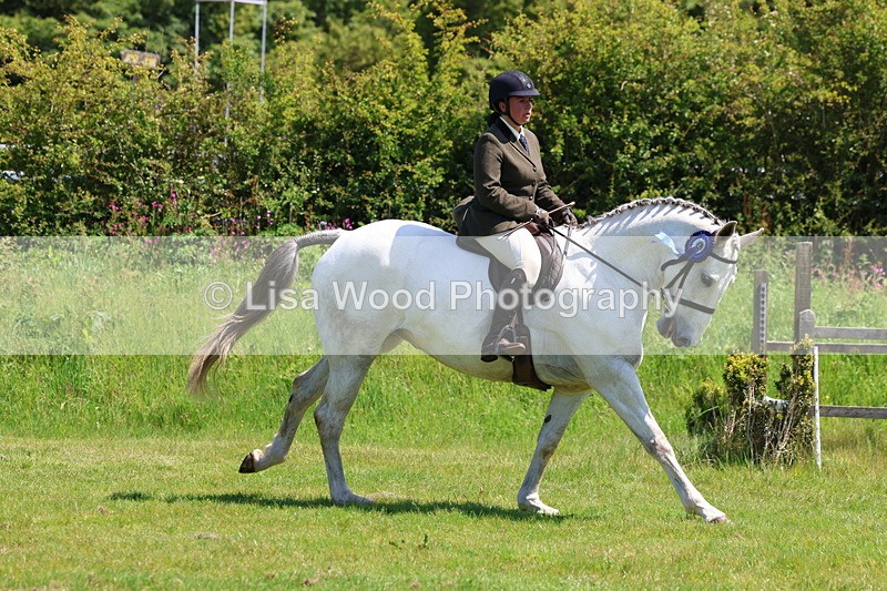 3E7A8051 - Working Hunter Championship