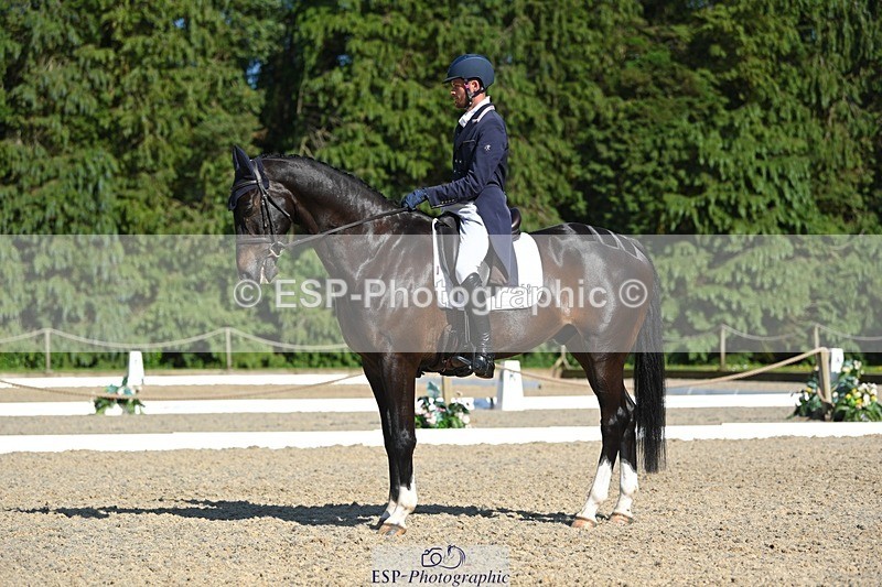 230526-165640-07452 - 258-DHI_KING_NELSON-Barnie_Brotherton-WEDTrotUp+DR