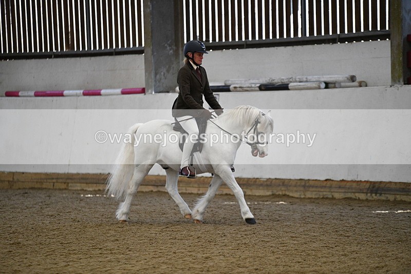 WJ5_5952 - Class 9 Ridden Veteran