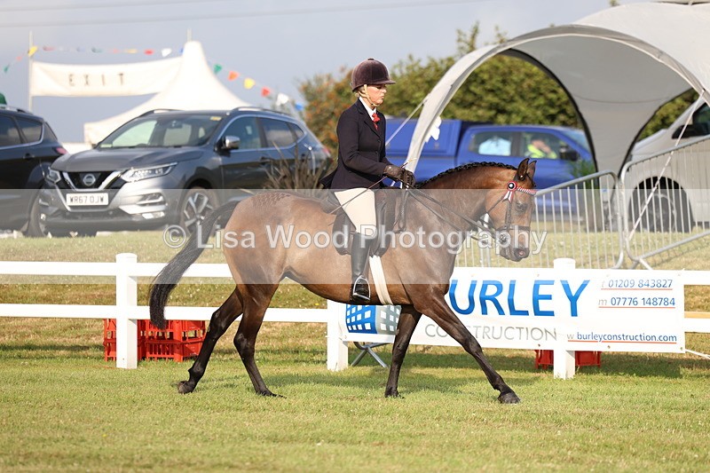 3E7A7683 - Class 1: Rising Star Small Hack/Riding Horses