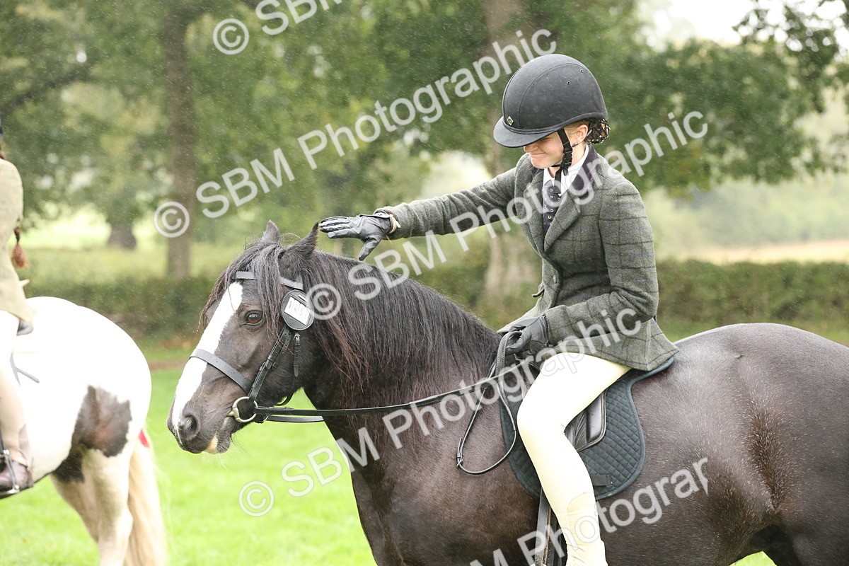 SBM_72809 - S70 - Traditional Cob Ridden