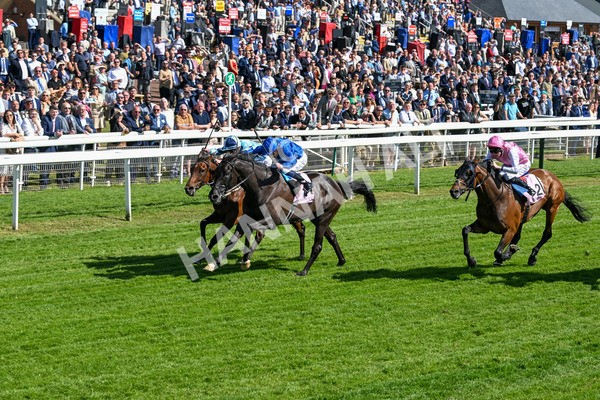 160525-Race 4-Rebels Romance-6710 - Race 4 3.45pm Boodles Yorkshire Cup Stakes