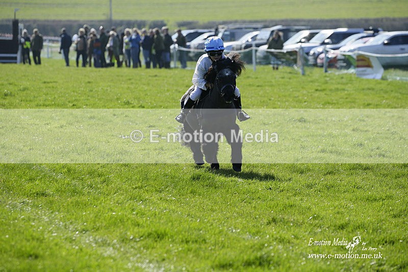 PtP 190322 35 - Wilton Hunt PtP Milborne St Andrew 19/03/22