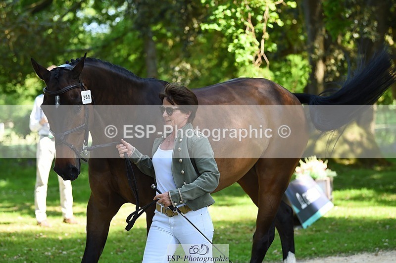 230524-154618-00490 - 369-GIDO_G-Sally_Chamberlain-WEDTrotUp+DR