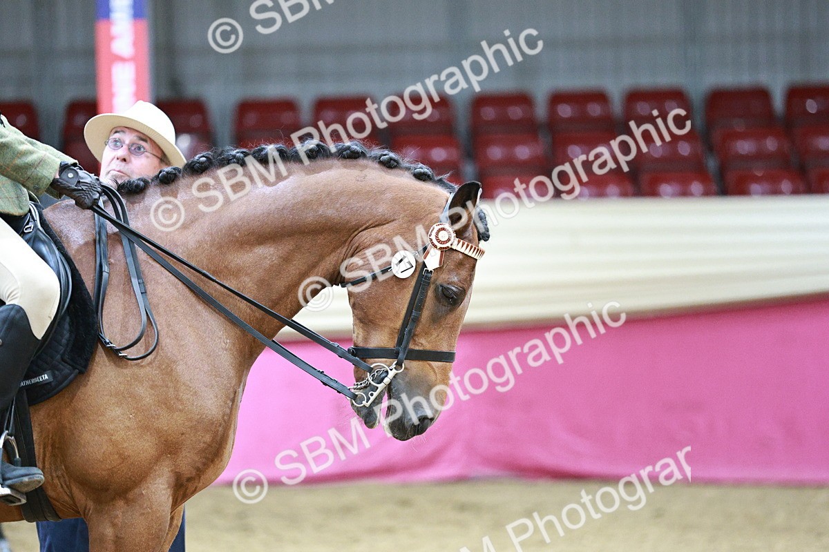 SBM_03546 - Class 6A Area Ridden Pre-Vet