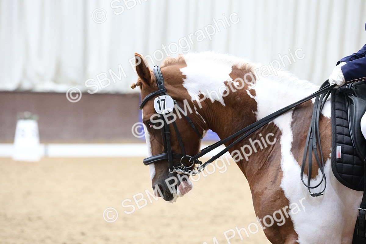 SBM_007618 - Class 23 - Medium FSM Bronze