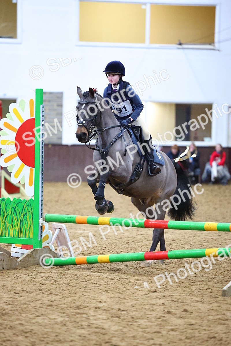 SBM_001277 - Class 3 - Christmas Tree Stakes - 60cm