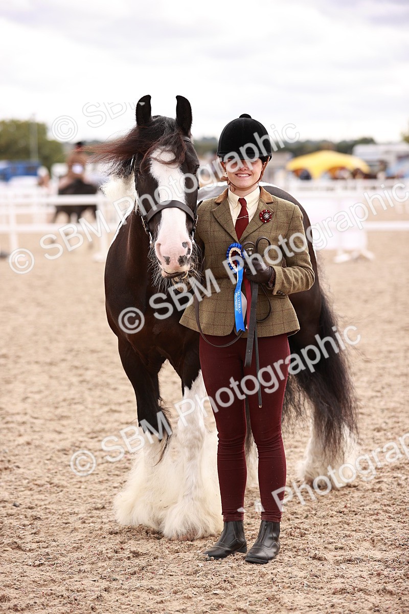 SBM_18445 - Class 419 - Best Maine and Tail - Jnr