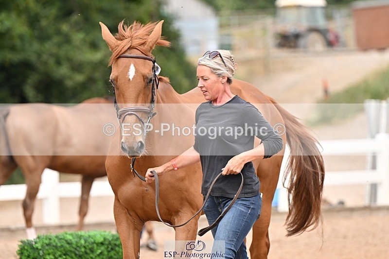 250716-154137-02124 - Trot Up 3.30 to 4.30