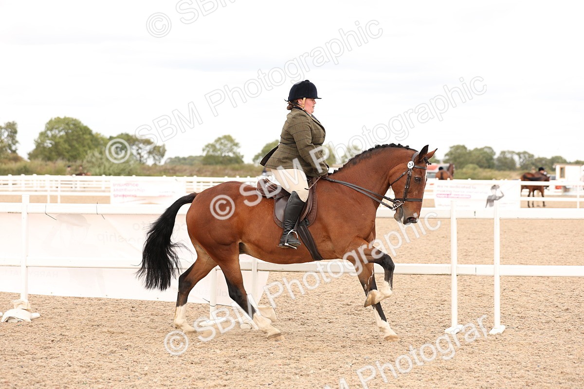 SBM_16488 - Class 212 - Ridden Hunter - Small