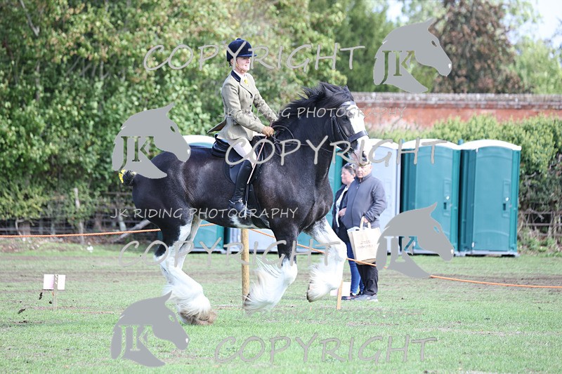 APP_3765 - Class 8 Ridden Class