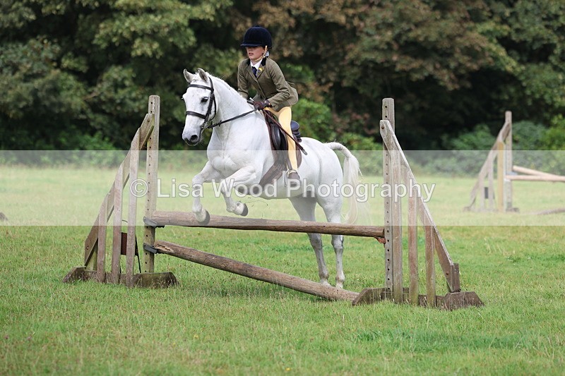 3E7A5796 - Class 26 and 27: 70cm Working Hunter