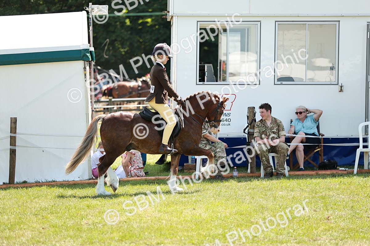 SBM_15771 - Class 108-109 - BSPS LIHS Open Gradle & Nursery Stakes