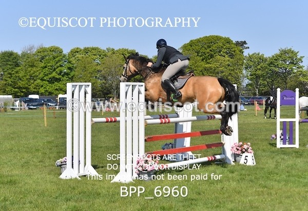 BPP_6960 - CLASS 2 The Ron Brady Sporthorses RHS Classic Championship Qualifier