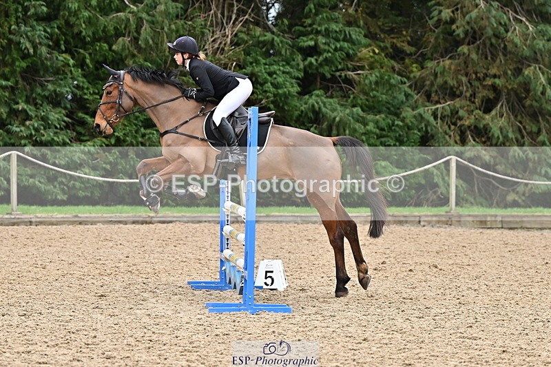 250201A-120549-00588 - Cls 02 Local Horse 100cm