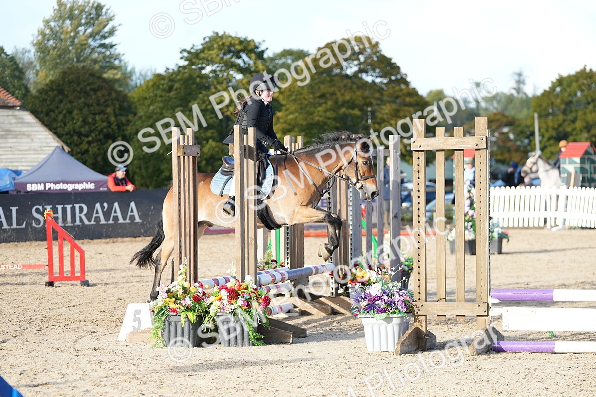 SBM_29113 - J43 - Horse & Hound Open 50cm