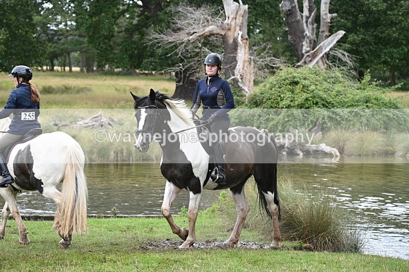 WJ7_3019 - Time at Water 11:37 to 12:13