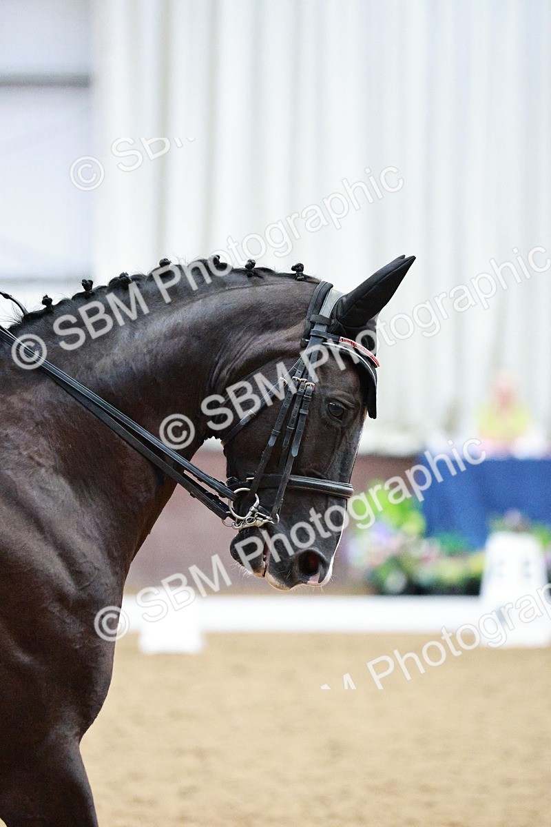 SBM_003780 - Class 8 - Elementary FSM - 16.20-17.00