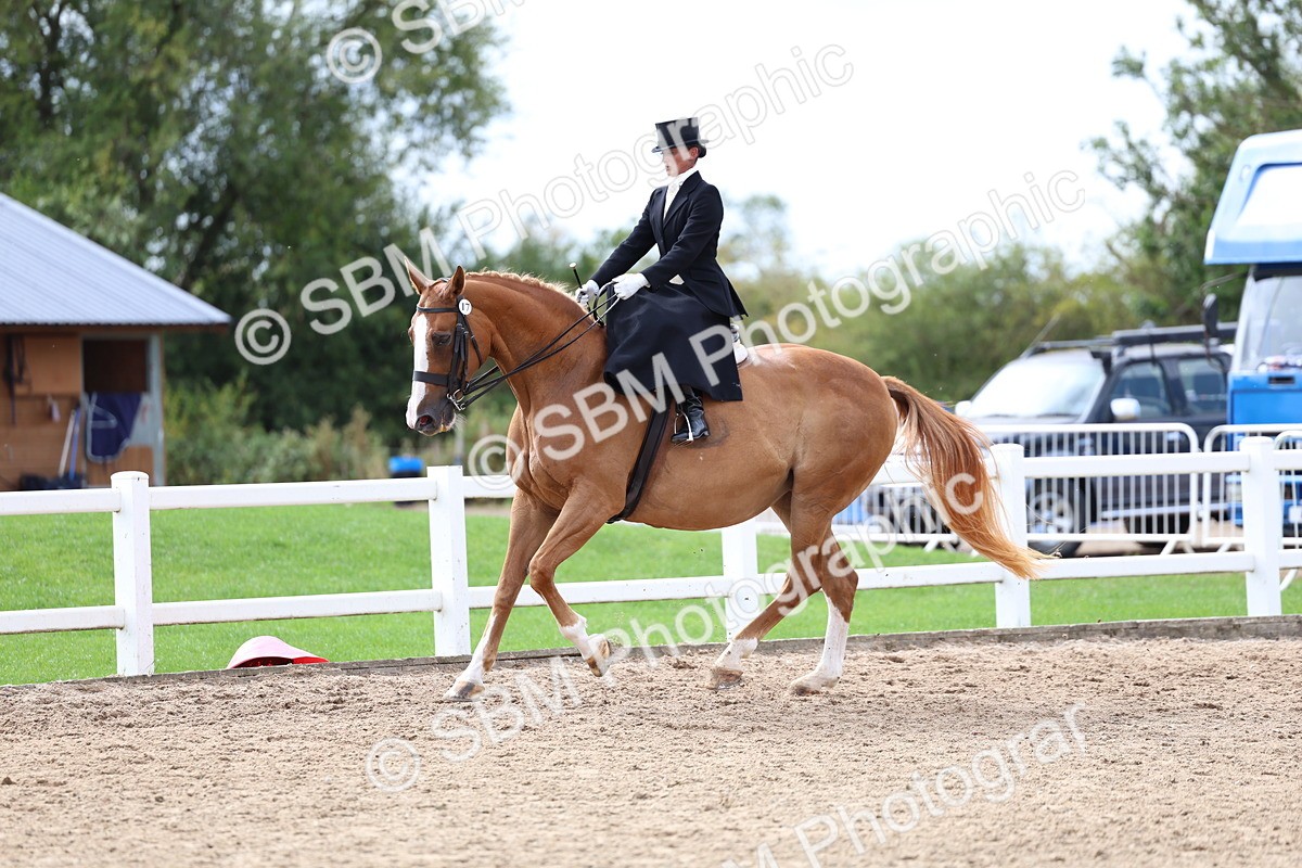 SBM_03425 - Class 24 - SSA Concours d'elegance (any age)
