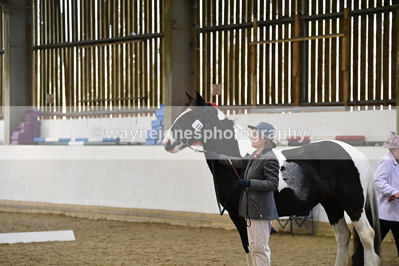 WJ5_4967 - Class 7 In hand coloured / odd coloured