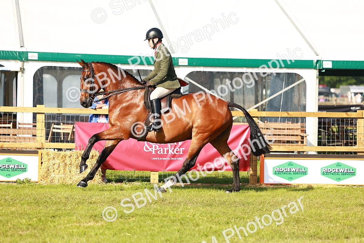 SBM_10786