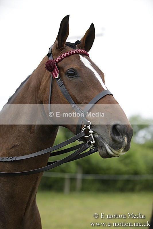 BVR160717-1021 - Ring 1 BVRC Show 16/07/17