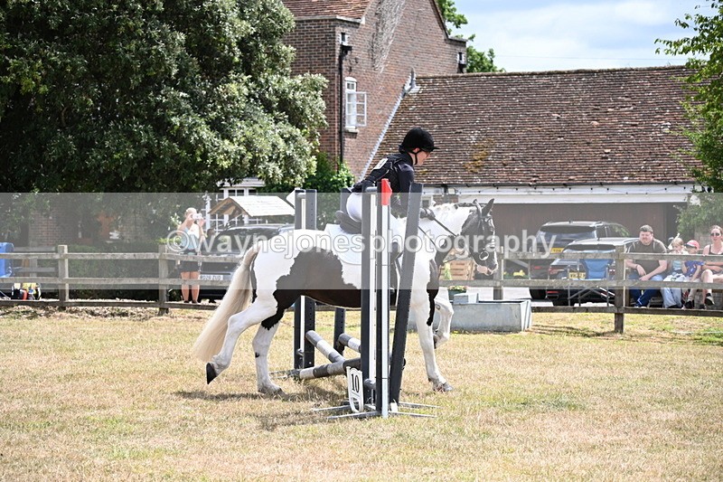 WJ6_5333 - Class 12 Minimus Jumping 45cm