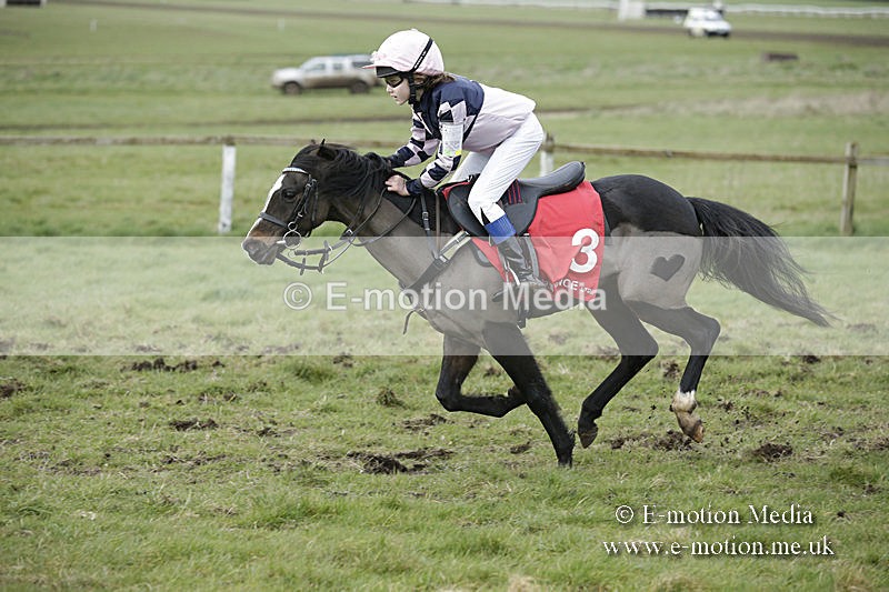 PtP 150320 0800 - New Forest Point-to-Point Larkhill 15/03/20