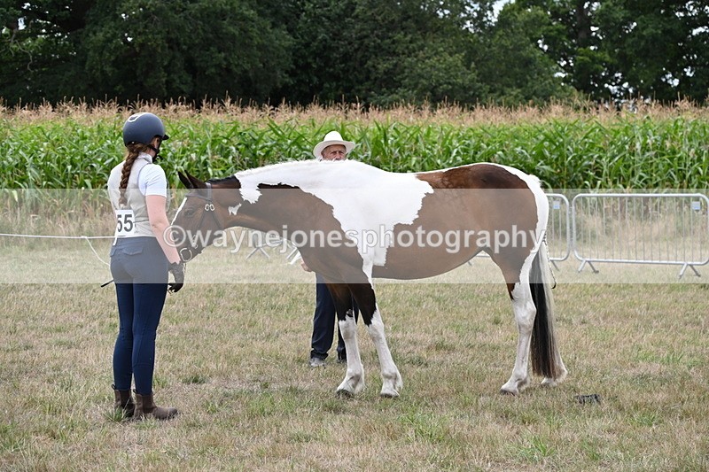 WJ6_5593 - Class 18 In-hand Coloured