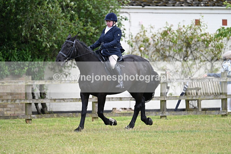 WJ7_9137 - Class 8 Ridden Veterans