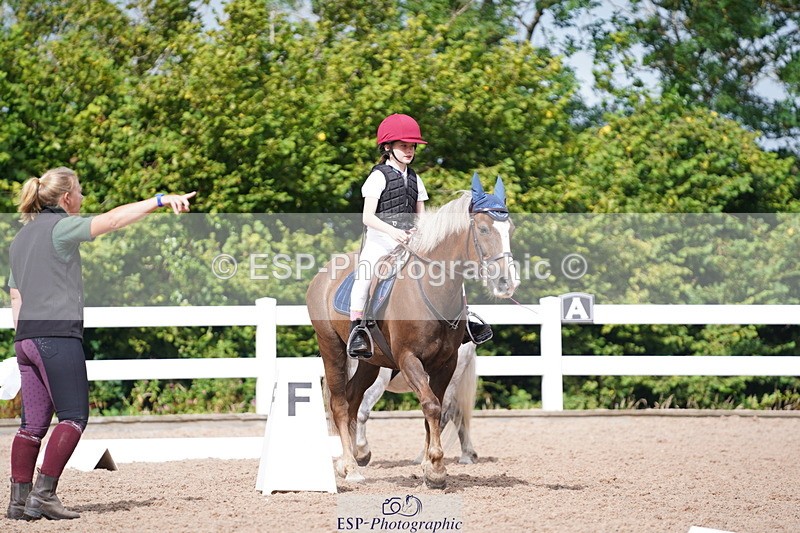 240809A-104844-00667 - Dressage Competition