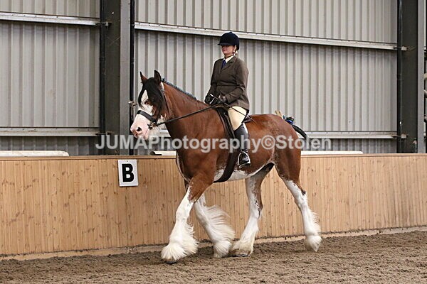 SIAL2293 - Sunday 14th Ridden