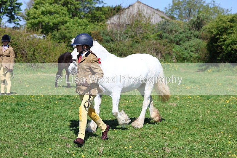 3E7A9901 - Class 17: Young Handler