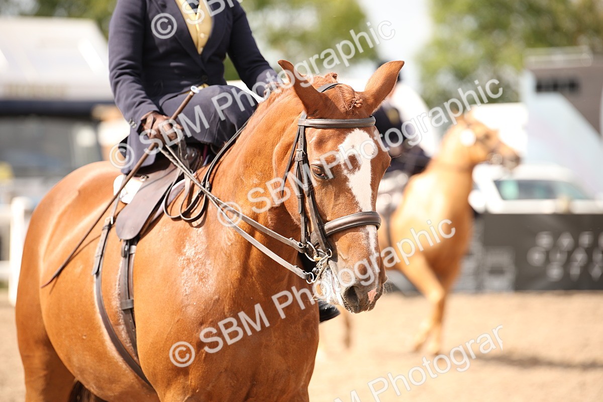 SBM_06750 - Class 24 Concours d'elegance
