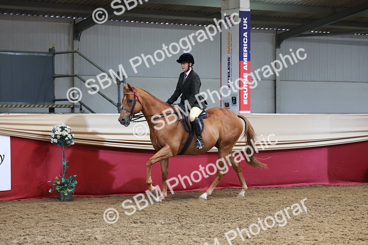 SBM_14910 - Class 108 - Ridden Retired Racehorse