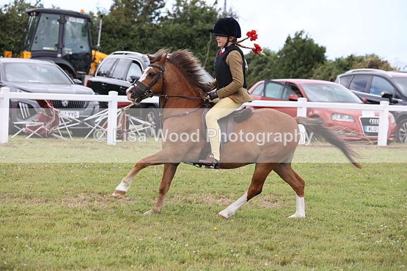 JPP_1755 - Class 18: Tiny Tots Working Hunter Pony