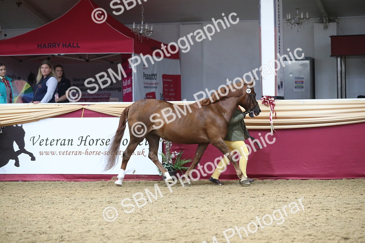 SBM_15273 - Class 501 M&M IH Supreme Final