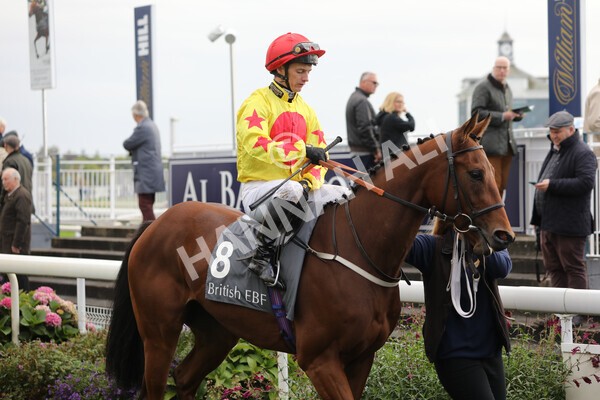 yr07102022r3-12 - Race 3 3.15pm British EBF £100,000 2yo Series Final (Colts and Geldings)