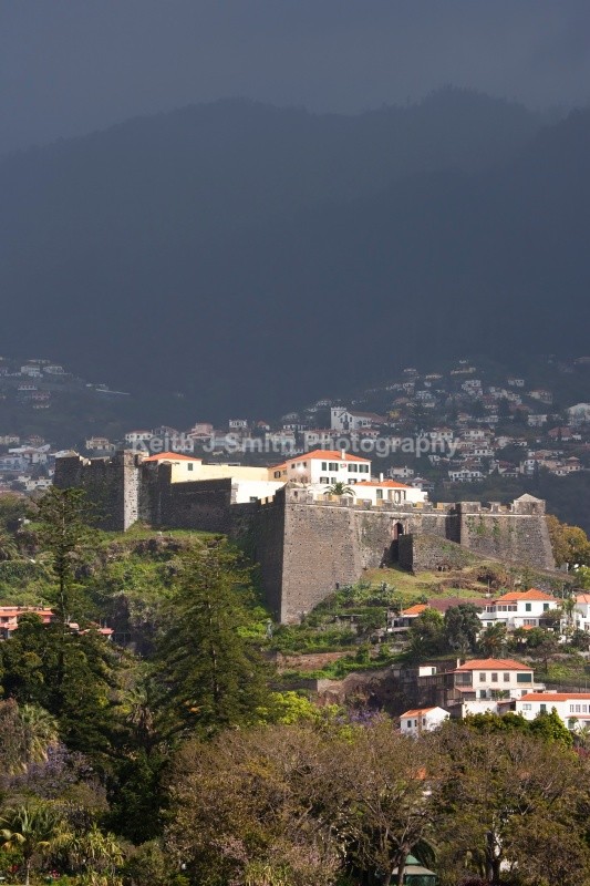 KJS_8735 (RM) - Worldwide