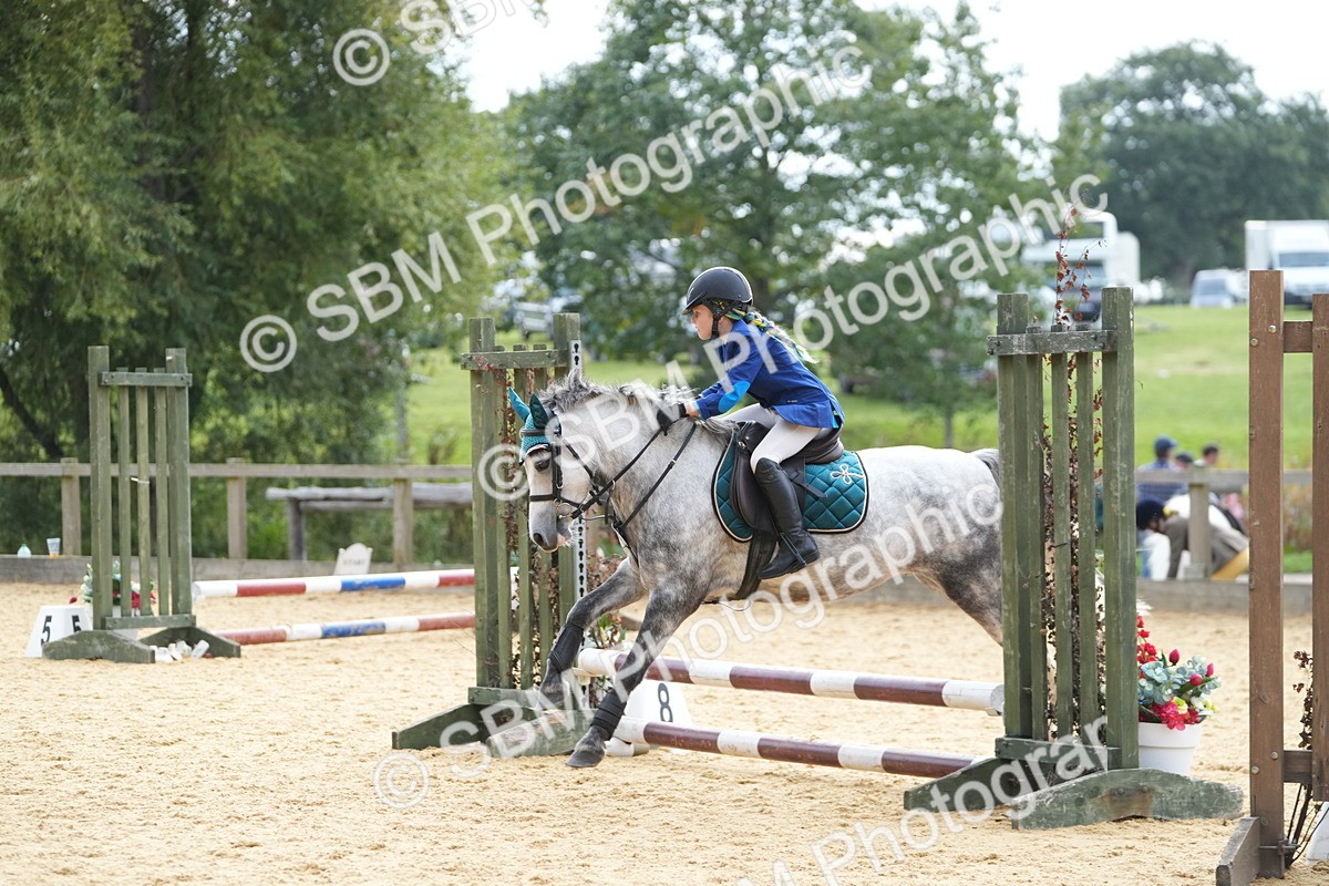 SBM_74708 - J4 - Mini Tour Junior Pony 45cm Championship