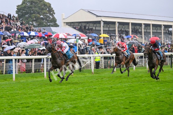 080924-Race 7-Young Fire-9708 - Race 7 5.10pm Elevator Company Amateur Jockeys' Handicap