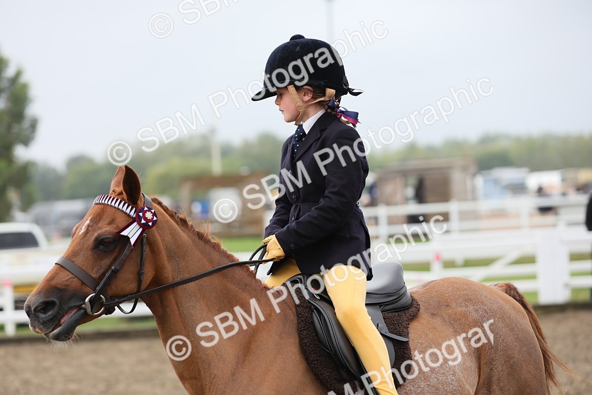 SBM_21789 - Class 806 - Young ridder 10 Yr & Under