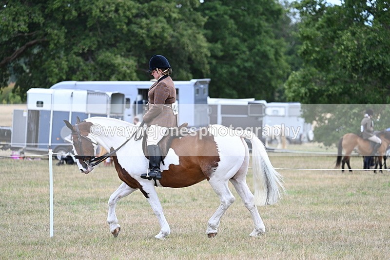 WJ7_4947 - Class 12 Ridden Cob