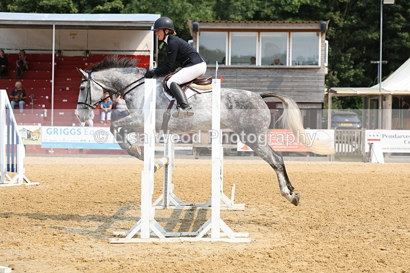 3E7A1188 - Class 4: Senior British Novice/90cm open